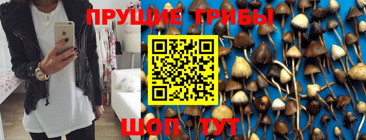 Псилоцибиновые грибы прущие грибы  Вход с VPN  Галлюциногенные грибы мицелий  Северск 